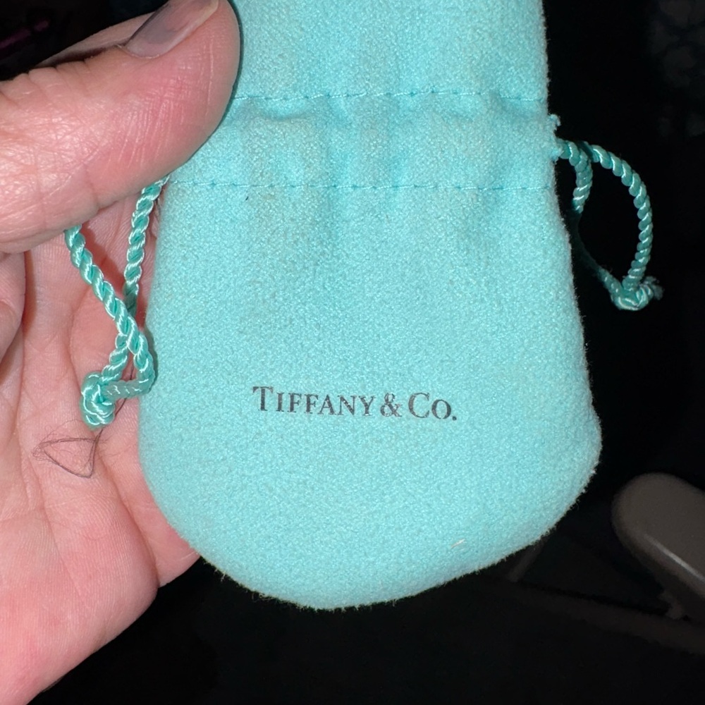 Tiffany & Co. Turquoise Drawstring Pouch